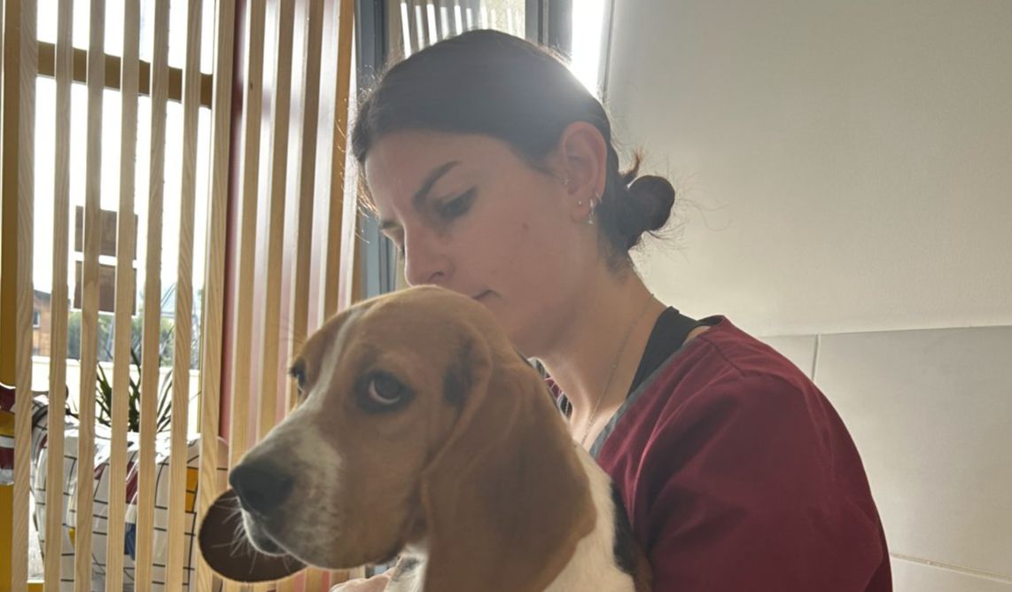 Ecole du chiot et Séance conseils Comportement