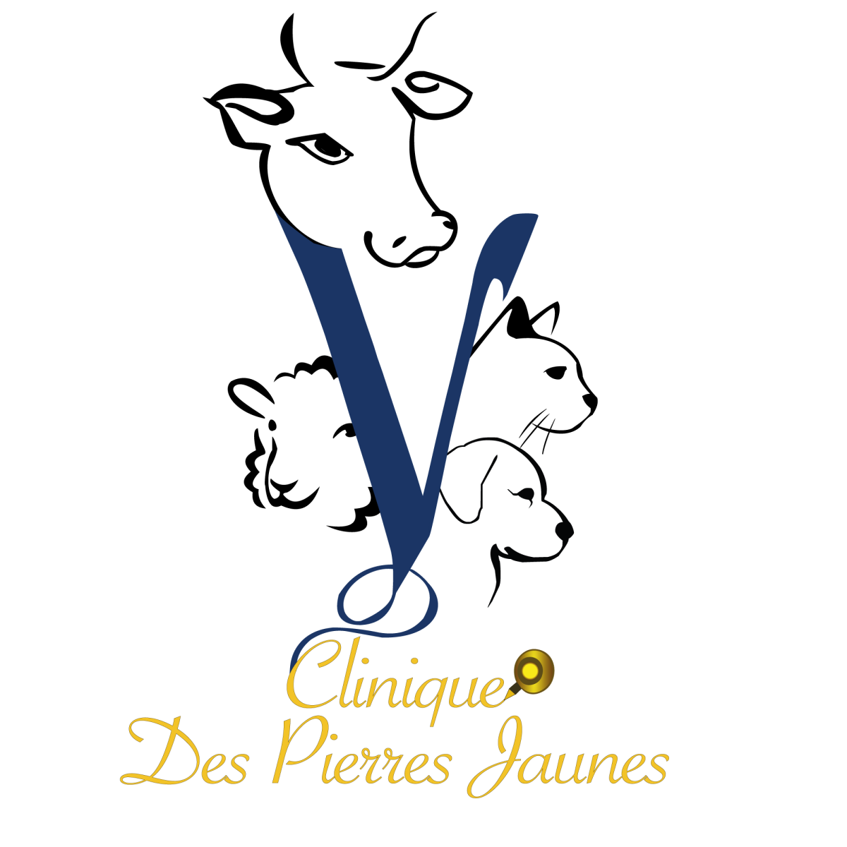 Clinique vétérinaire des pierres jaunes